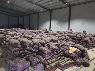【农产品上行 电商在行动】赞!20吨色达紫心土豆被收购